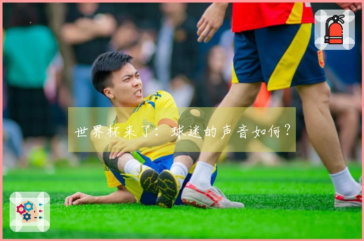 世界杯来了：球迷的声音如何？